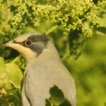 WhatsApp Image 2026-02-10 at 16.45.40