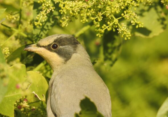 WhatsApp Image 2026-02-10 at 16.45.40