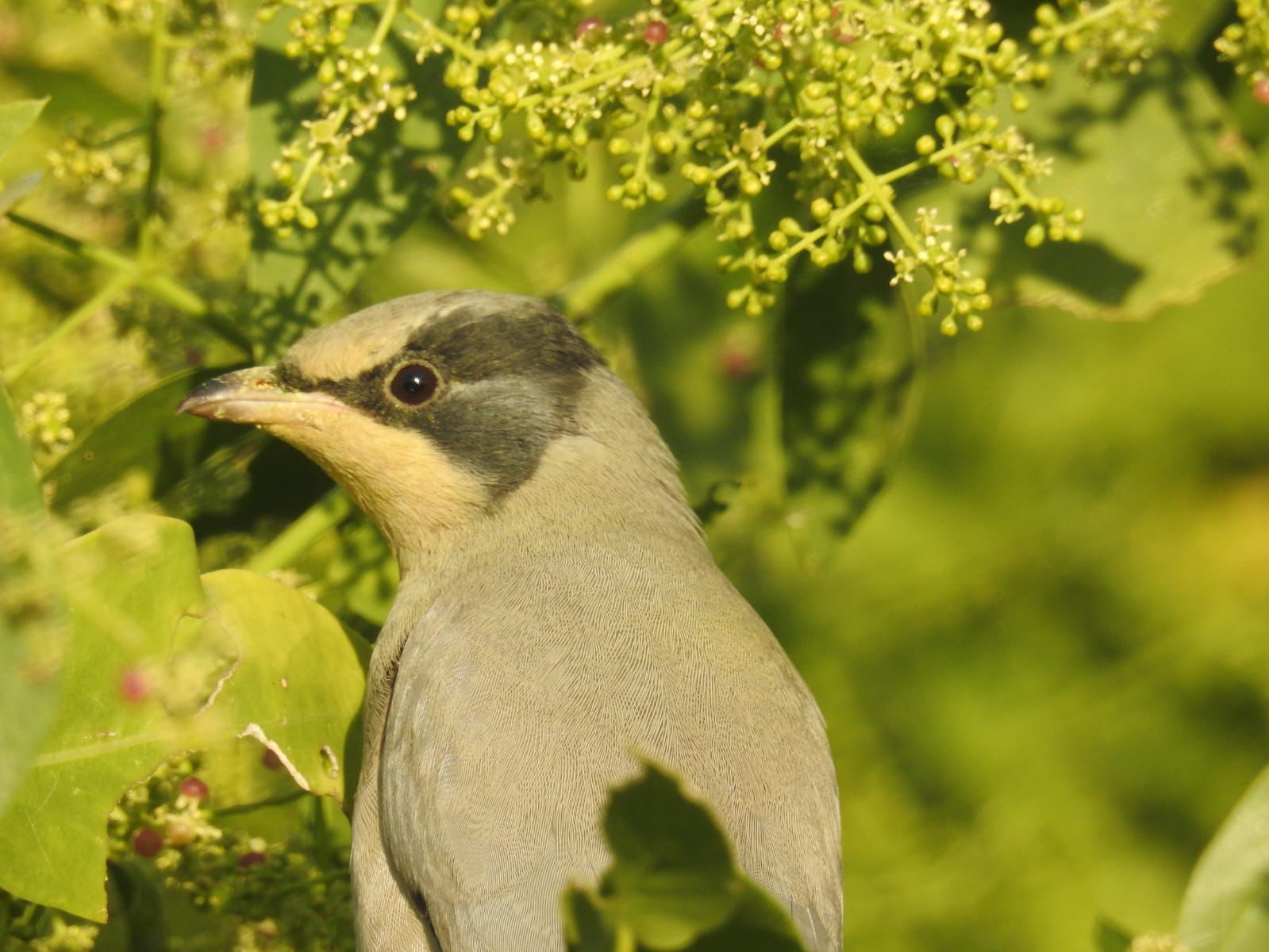 WhatsApp Image 2026-02-10 at 16.45.40